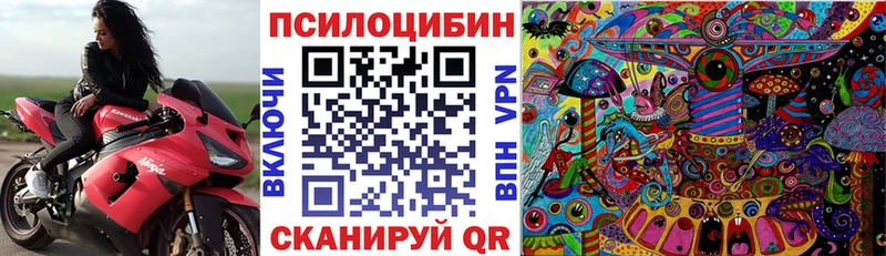 закладка  Краснокамск  Псилоцибиновые грибы прущие грибы 