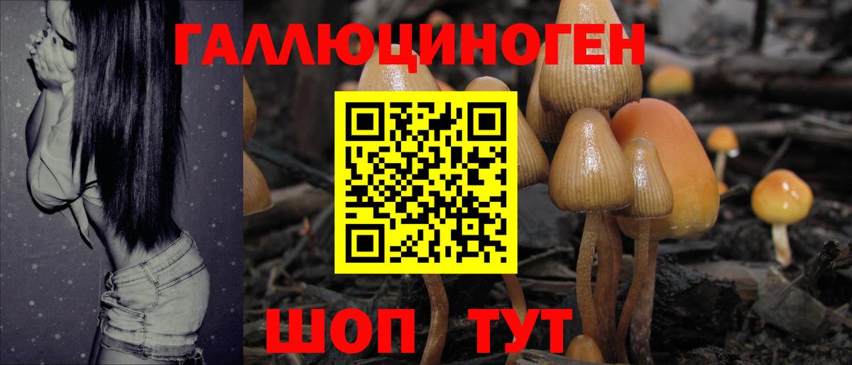 Краснокамск  дарнет шоп  Вход с VPN  Псилоцибиновые грибы прущие грибы 